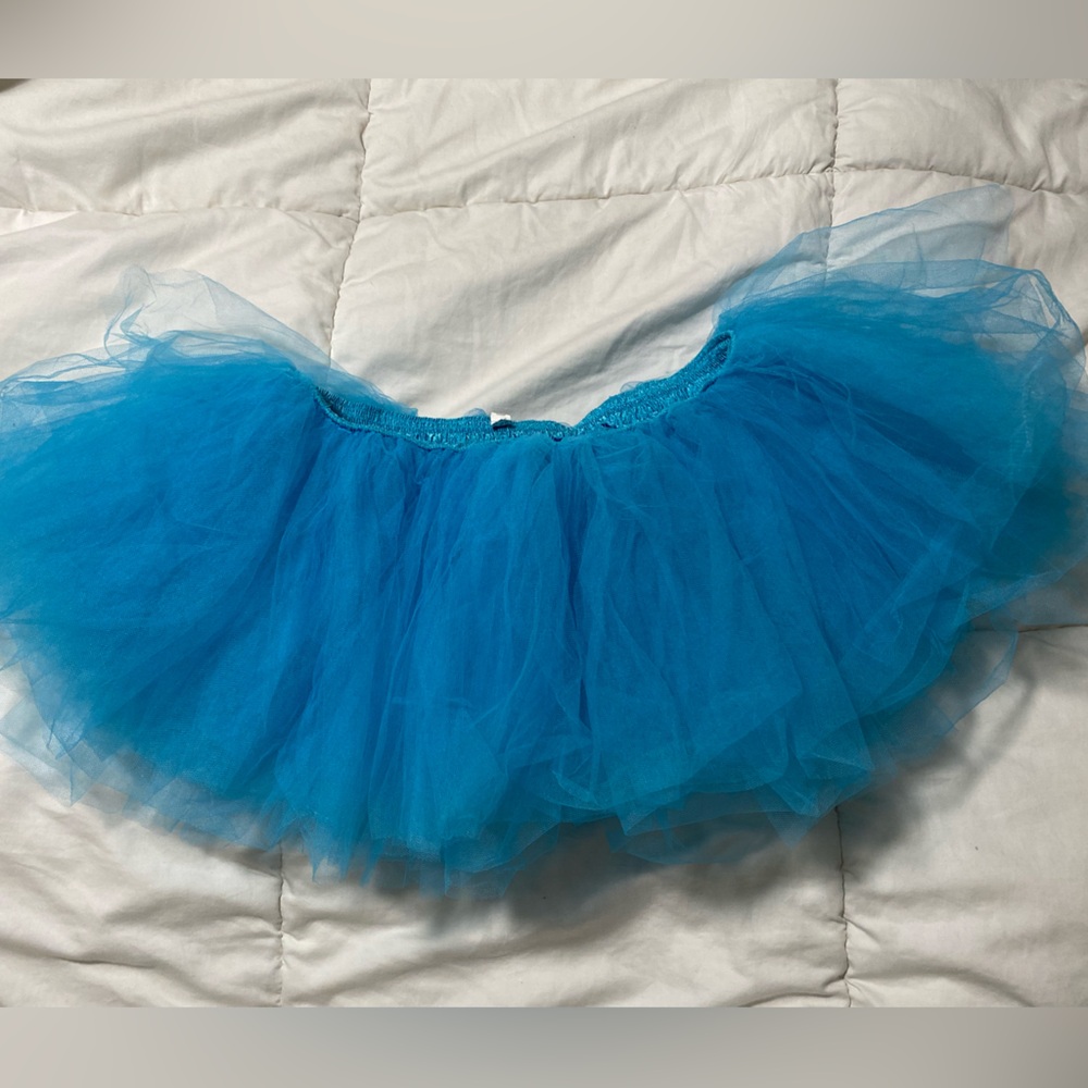 Blue Tulle Skirt
